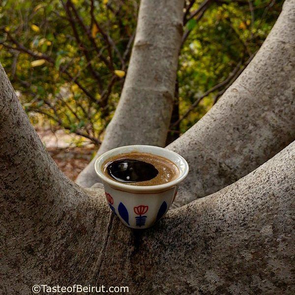 Can you think of a better spot than nudged in a fig tree to sip coffee and... (Dayr Al Qamar, Mont-Liban, Lebanon)
