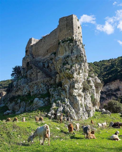 Castelo brotando em uma paisagem rural de Batroun, norte do Líbano,... (Msaylha Castle)