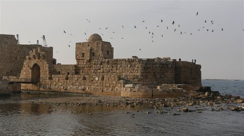 Castle Air Forces:) thisislebanon79  viewbug  photography  lebanon  sidon... (Sidon Sea Castle)