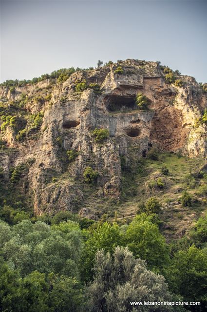 Caves on The Walls (Wadi Qannoubine, North Lebanon)