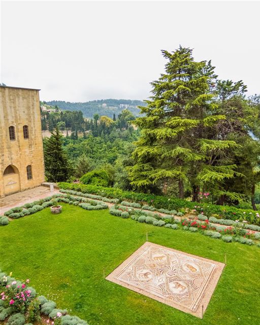 Cedro do Líbano visto a partir dos jardins do Palácio de Beiteddine. Esta... (Beiteddine Palace)