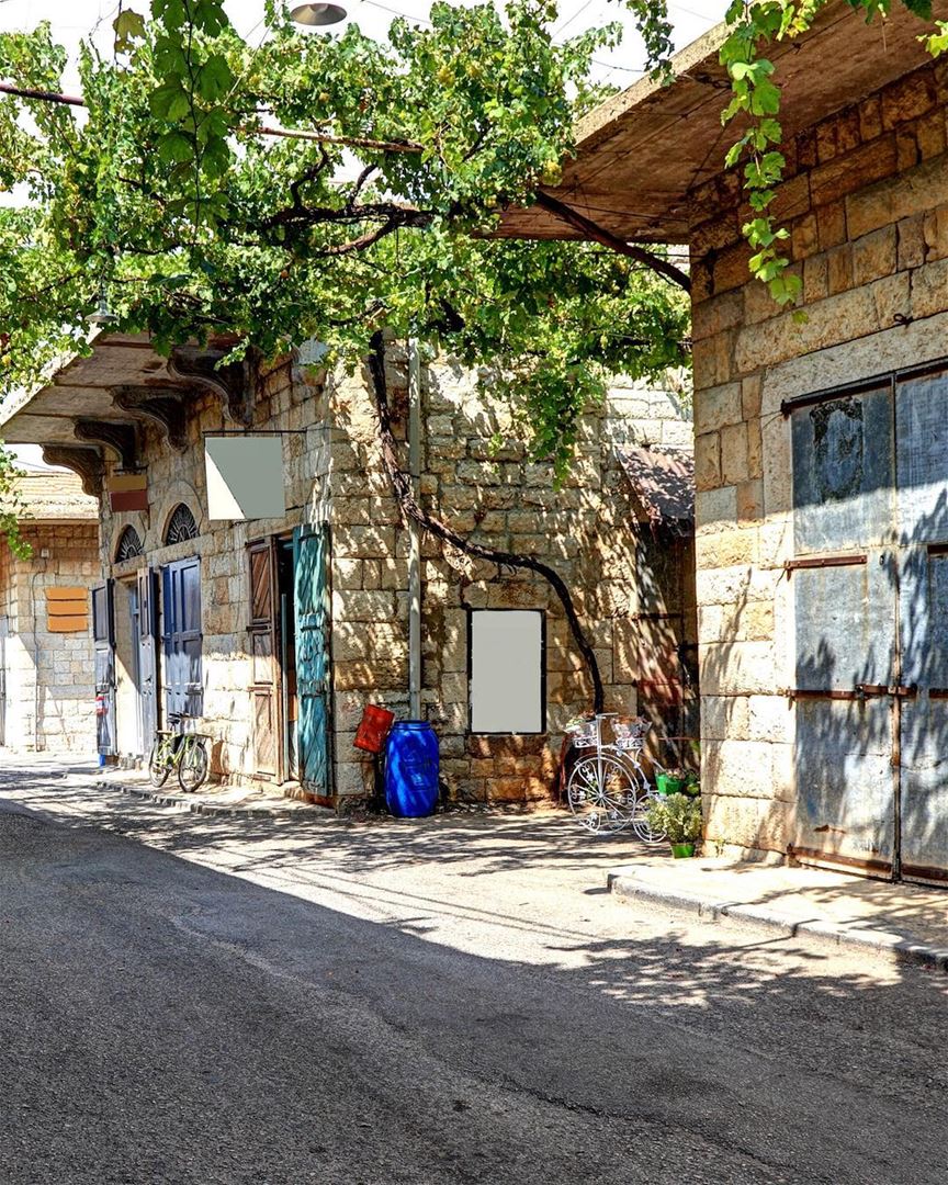 Cenário típico de um vilarejo libanês. Videiras, casas de pedra e uma... (Douma, Liban-Nord, Lebanon)
