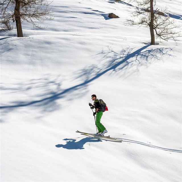 Chasing Shadows lebanon  laklouk  snow  skidefond  trail  neige  shadow ... (El Laklouk, Mont-Liban, Lebanon)