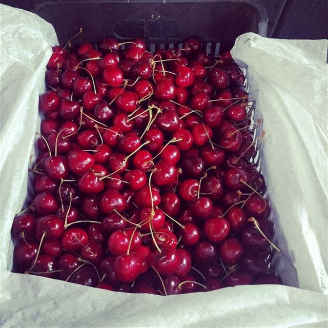  cherries   fruit  fruits  fresh  sweet  yummy  delicious  lebanon ...