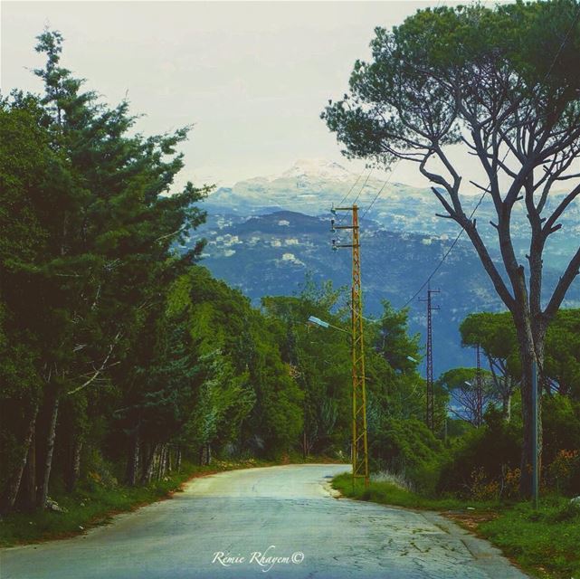~Choose your roads wisely~ (Broummâna, Mont-Liban, Lebanon)