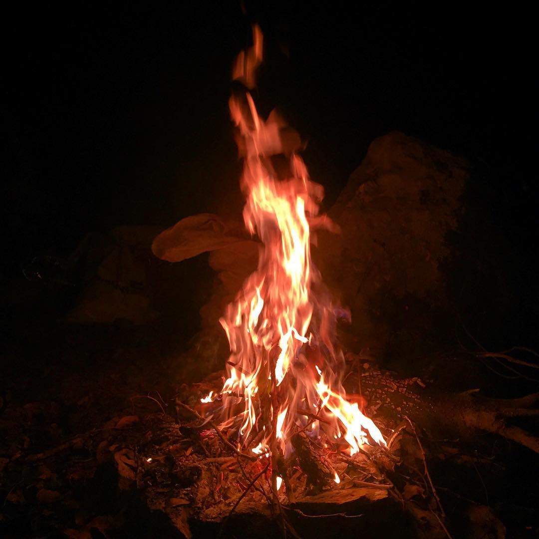  Chouwen  camping  fire  flames  potatoes  nice  time  friends  nature ... (Chouwen)