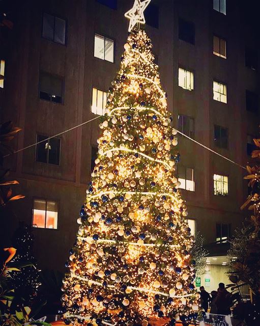 Christmas Spirit at AUBMC💫💫 @livelove.aub @aub_lebanon @aubmc_official ... (AUBMC - American University of Beirut Medical Center)