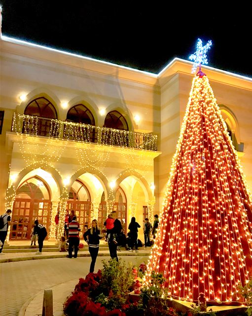Christmas spirit at the Lebanese Embassy - Qatar 🎄❄️🌺🎁⛄️🎅🏻🇶🇦🇱🇧 ... (Doha)