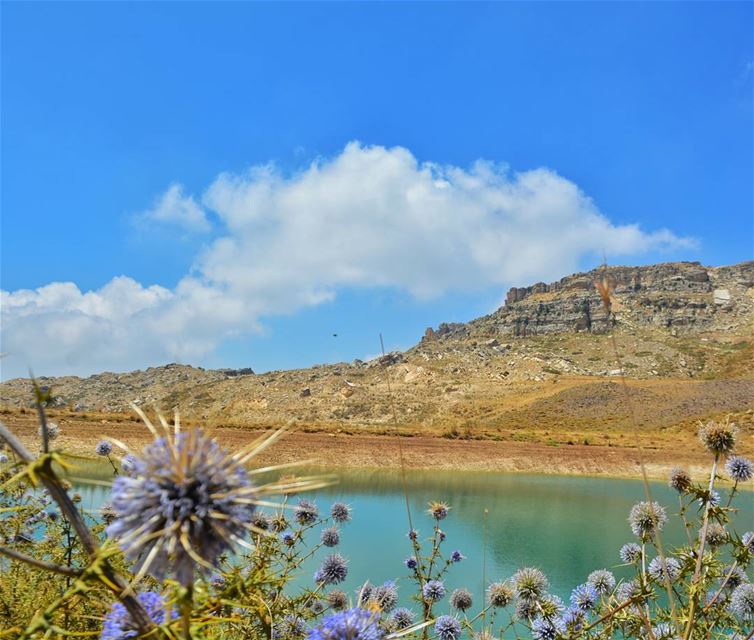 Cloudland☀️  nature  GramTags  light  day  sun  mothernature  flowers ... (El Laklouk, Mont-Liban, Lebanon)