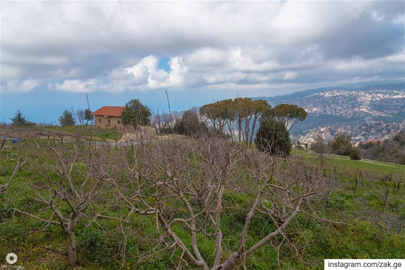 Clouds and a lonely house at the end of trees range  trees  treeworld ... (Mount Lebanon Governorate)