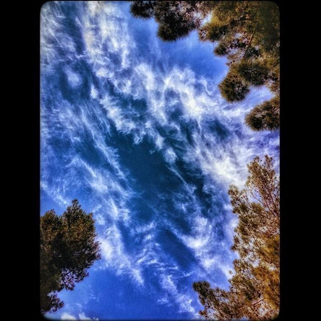  clouds  cloudy  bluesky  trees  nature  art  upwardshot  baakline ... (Baakline, Mont-Liban, Lebanon)