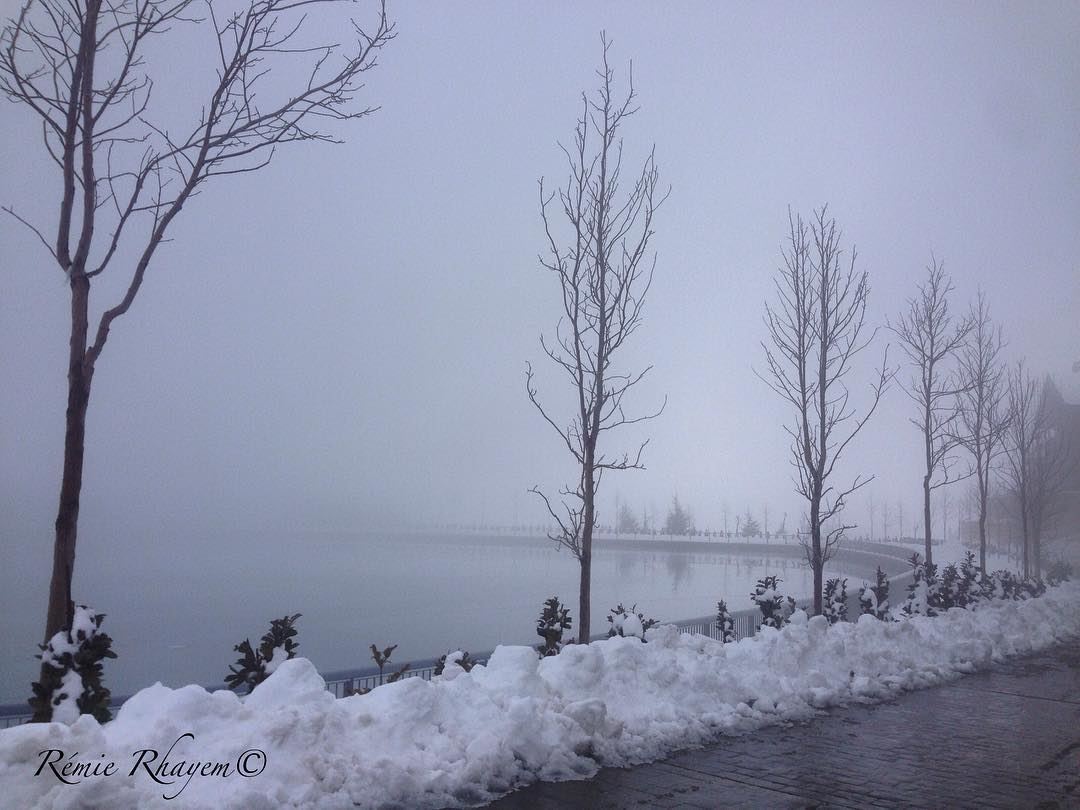 ~Cold~ (Zaarour Lake)