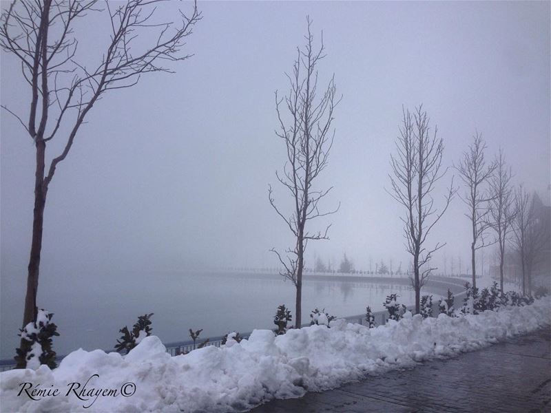 ~Cold~ (Zaarour Lake)