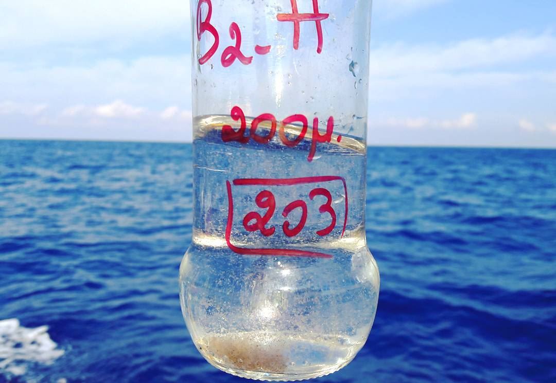 Collecting zooplankton: tiny marine animals 🌊 Sampling  Day  Marine ...