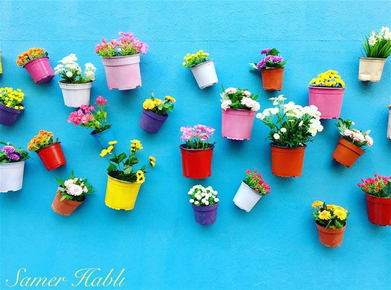 Colors of joy Colors of life Colors of happiness ♥️..... flowerpot... (Gemeyzeh)