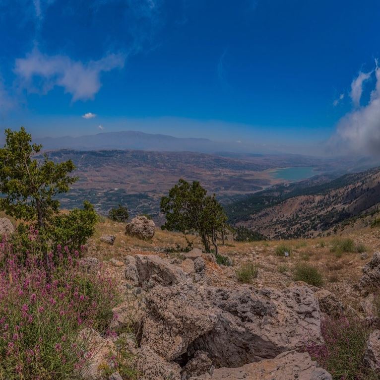 Combining the beauty of @shoufreserve with West Bekaa! 🤓... (Maaser El Shouf Cedar Reserve محمية ارز معاصر الشوف)