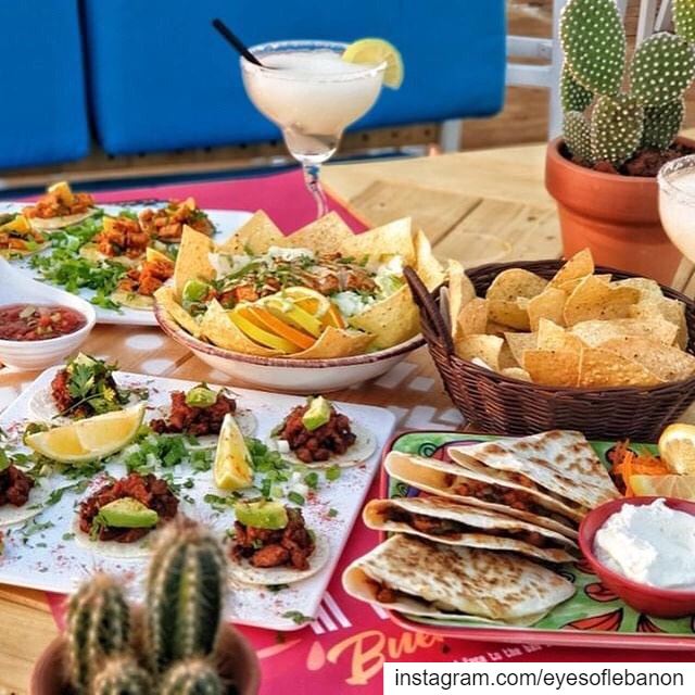 ”COMPETITION TIME ” 🥳The amazing mexican restaurant @pacoelmexicano... (Provincial Del Mare)