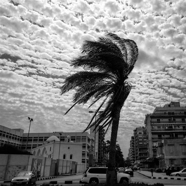 Cotton sky -  ichalhoub in  Tripoli north  Lebanon /  streetphotographybnw...