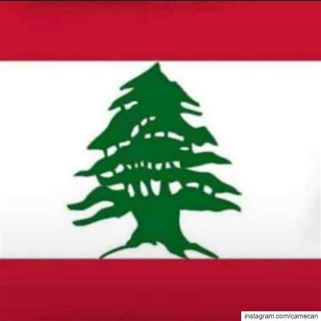  country  united  lebanon  lebanese  mylebanon  proudlylebanese ...