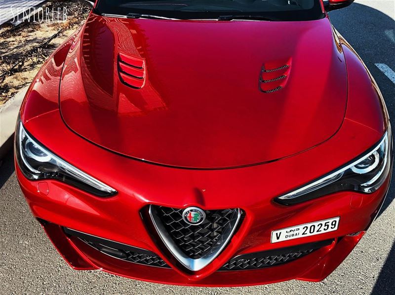 Curves defines shape and shape defines beauty - Alfa Romeo Stelvio QV————— (Dubai, United Arab Emirates)