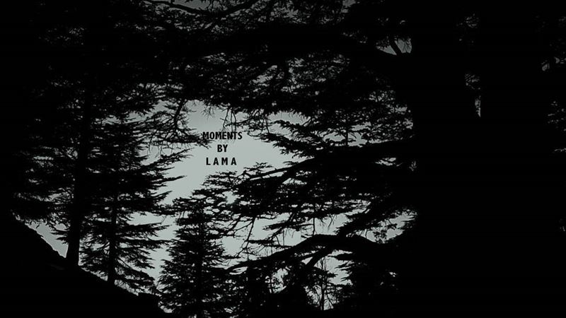 D E E P 🔭📍 LAMA_YOUSSEF ... (The Cedars of Lebanon)