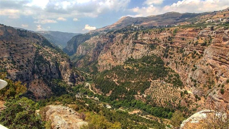 Deep into the valley📷... (Wadi Qannubin, Liban-Nord, Lebanon)