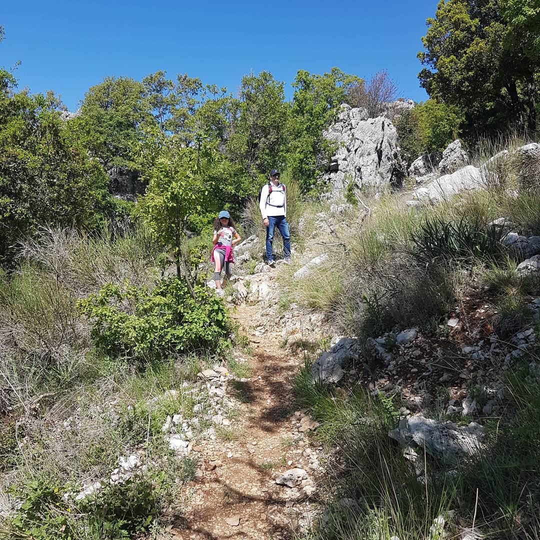 Discovering the nature... @jabalmoussa  jabalmoussa  hiking  hikingday ... (Qornet el Mzâr)
