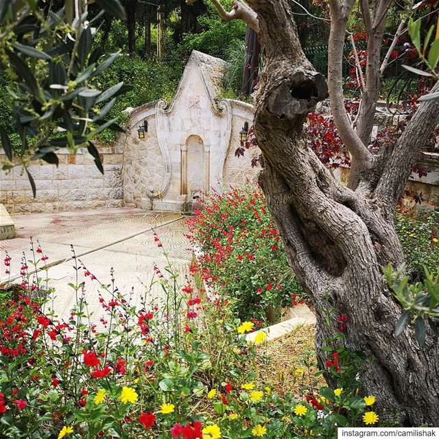  dlebta lebanon mountlebanon keserwan fountain spring nature village... (ضيعة دلبتا)