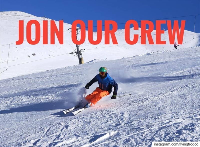 Do you have good skiing skills? Are you patient? A snow fanatic? Wanna... (Mzaar Kfardebian)