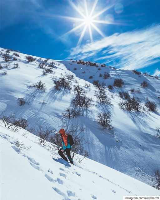 Doing what you like is freedom ☀️.... snowhike wonderlust sports... (Maaser El Shouf Cedar Reserve محمية ارز معاصر الشوف)