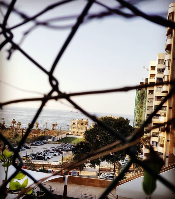 Don't Let Obstacles spoil Your Journey..Focus on the Beauty of... (Beirut, Lebanon)