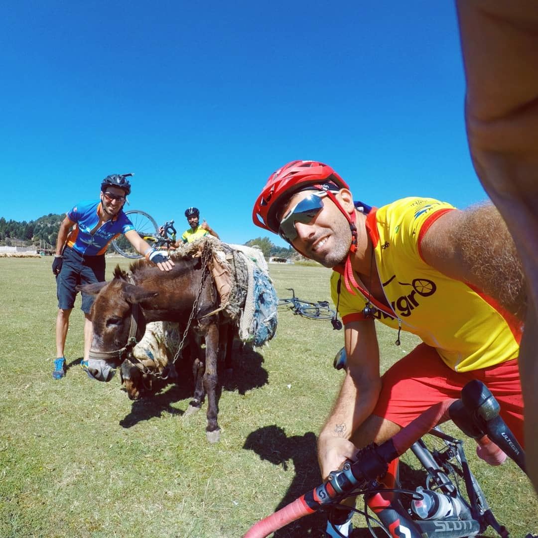 Donkey selfie series@thegreatnix @m3r2os @sandramalkoun.. cycling ...