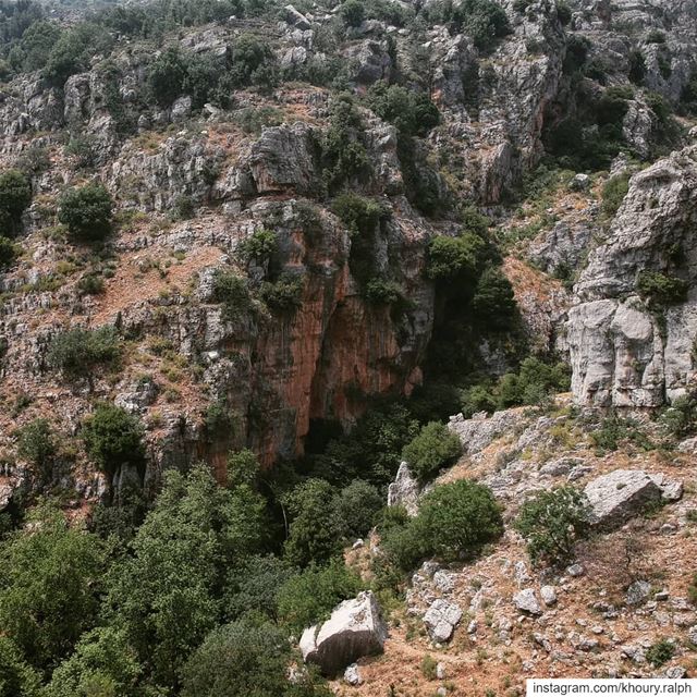 Drapetomania... forest  river  lebanon  caves  rockymountains ...