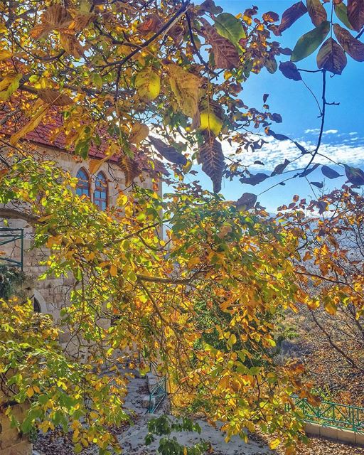  Ehden in autumn shines like a queen wearing her golden leaves crown 🍂👑🍂 (Ehden, Lebanon)