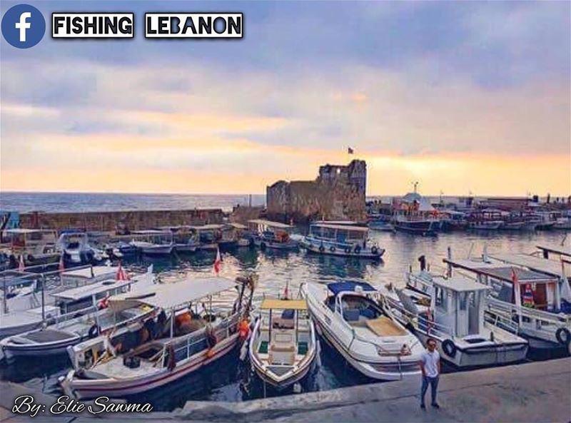 Elie Sawma @sawma.elie -Lebanon __________________________ sealife ... (Lebanon)