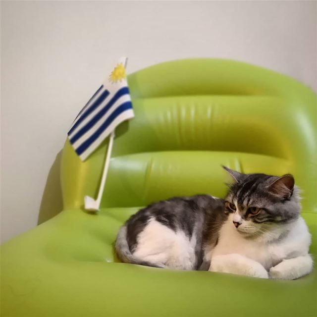 En su silla esperando la llegada de Celeste a Rusia.... Vamos  Uruguay! ...