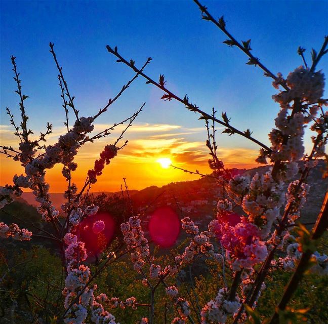 Enjoy every sunset ❤ nikontop_  nikonworld  bns_sky  bns_sunset ... (Beit Ed-Deen, Mont-Liban, Lebanon)