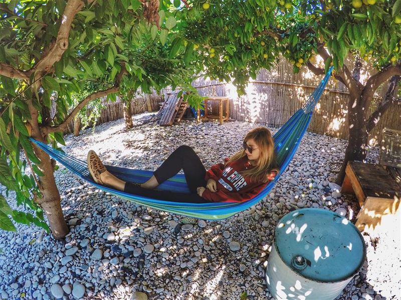 Escape 💛 YaraLivingLife  hammock  hammocklife  explore  nature ... (Batroûn)