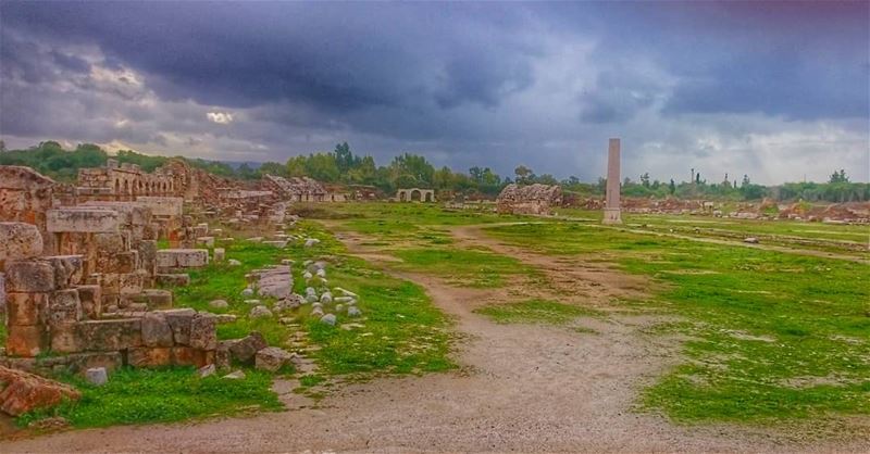 Even if the weather is not at its best, the walk in Tyre's Hippodrome is... (Tyre, Lebanon)
