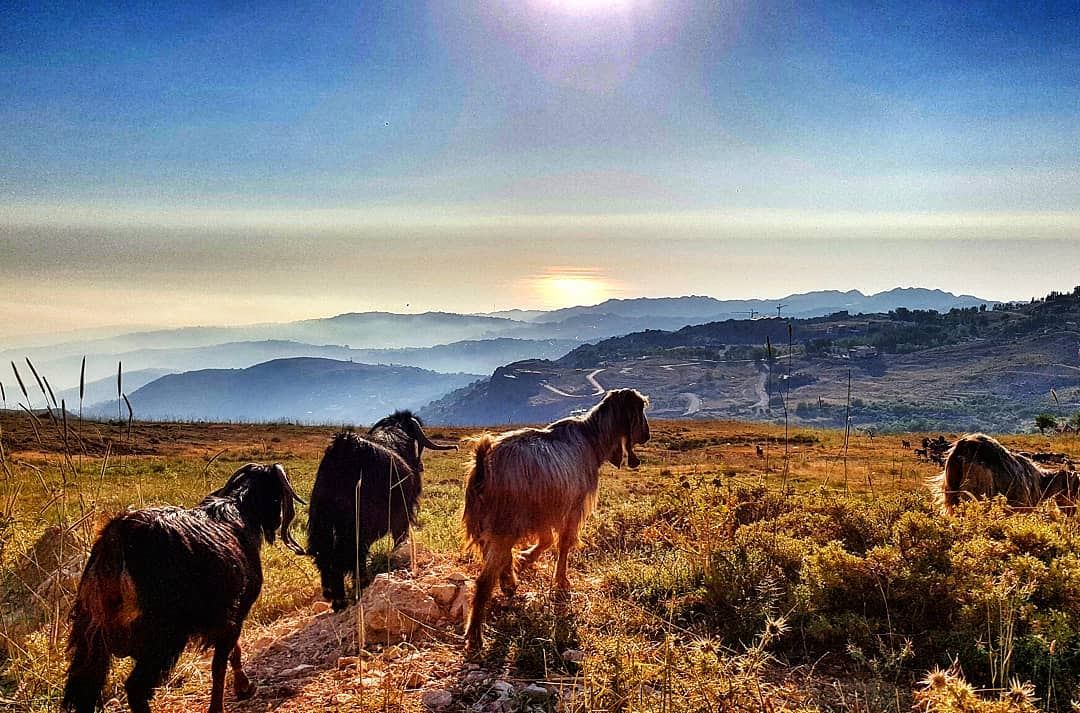 Even if we don't have the power to choose where we come from, we can still... (Qanat Bakish, Mont-Liban, Lebanon)