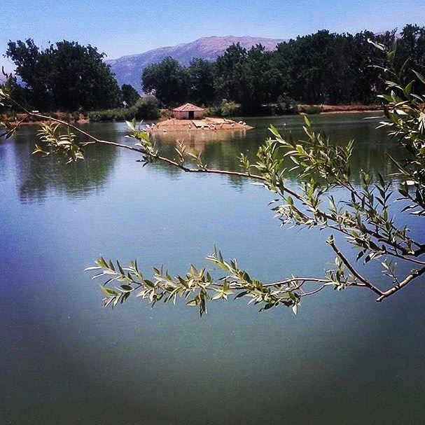Every lake is a new word  lake.  photo  photography  lebanon  young ...