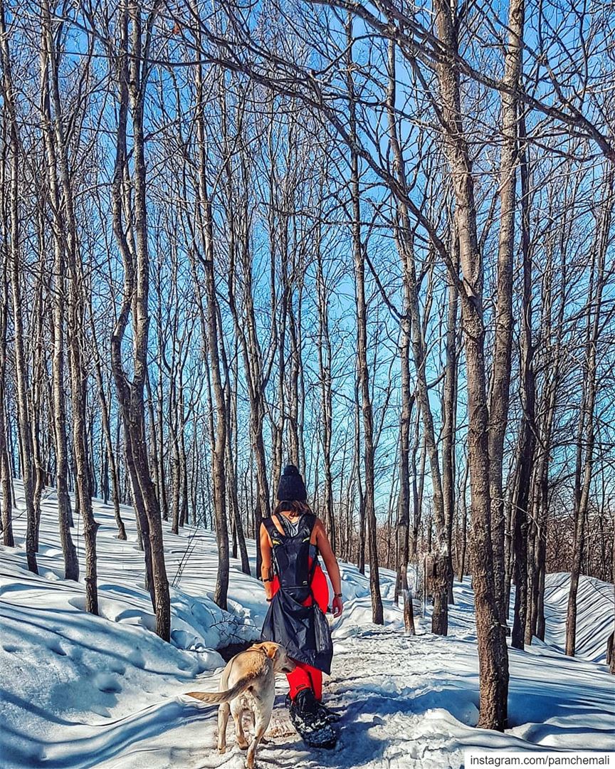 Every  path has a message 💬 🐕📸 @rawadthenomad 😊........ (AHLAM Golf & Mountain Village)