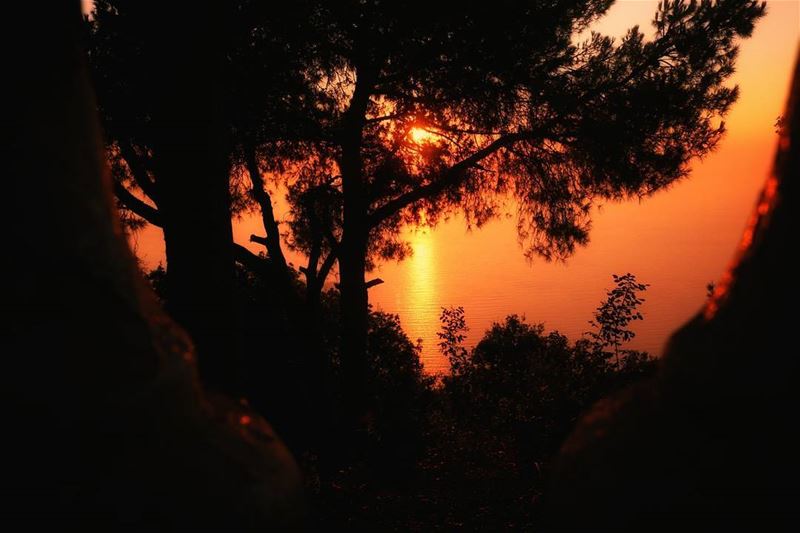 Every  Sunset gives  hope to the  Next  Day. Sun  super_lebanon ... (Harîssa, Mont-Liban, Lebanon)