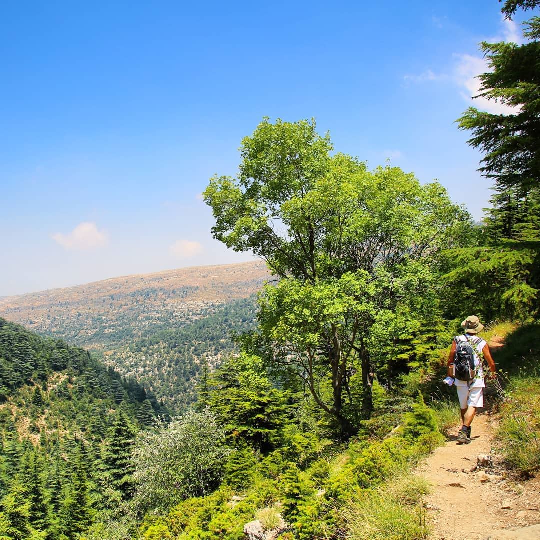 Explore I Hiking, Ehden Forest Reserve & Lebanon this Sunday. Booking.... (Horsh Ehden)
