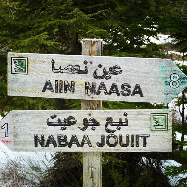 EXPLORE  I  Lebanon, Snowshoeing &  Ehden Reserve this Sunday🌲🌲🌲🌲🌲🌲� (Horsh Ehden)