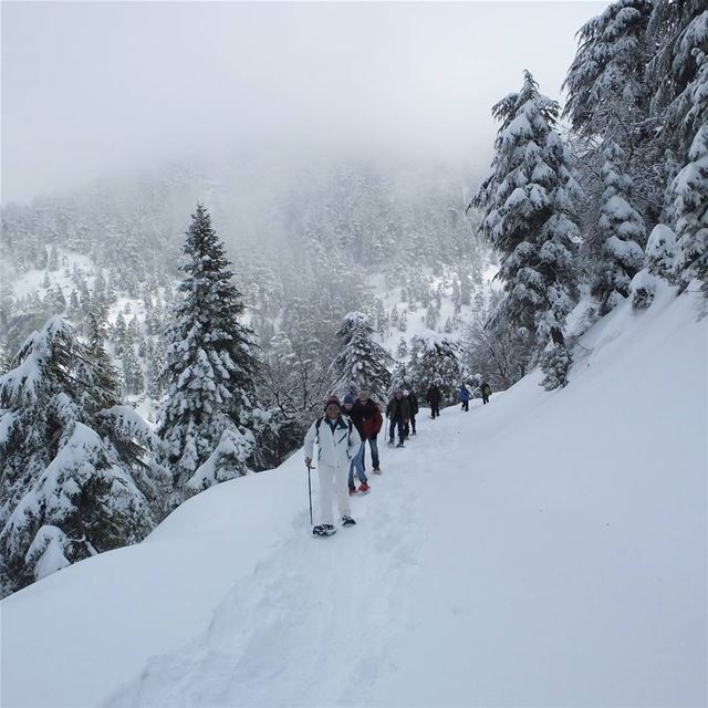 EXPLORE  I  Lebanon, Snowshoeing &  Ehden Reserve this Sunday🌲🌲🌲🌲🌲🌲� (Ehden, Lebanon)