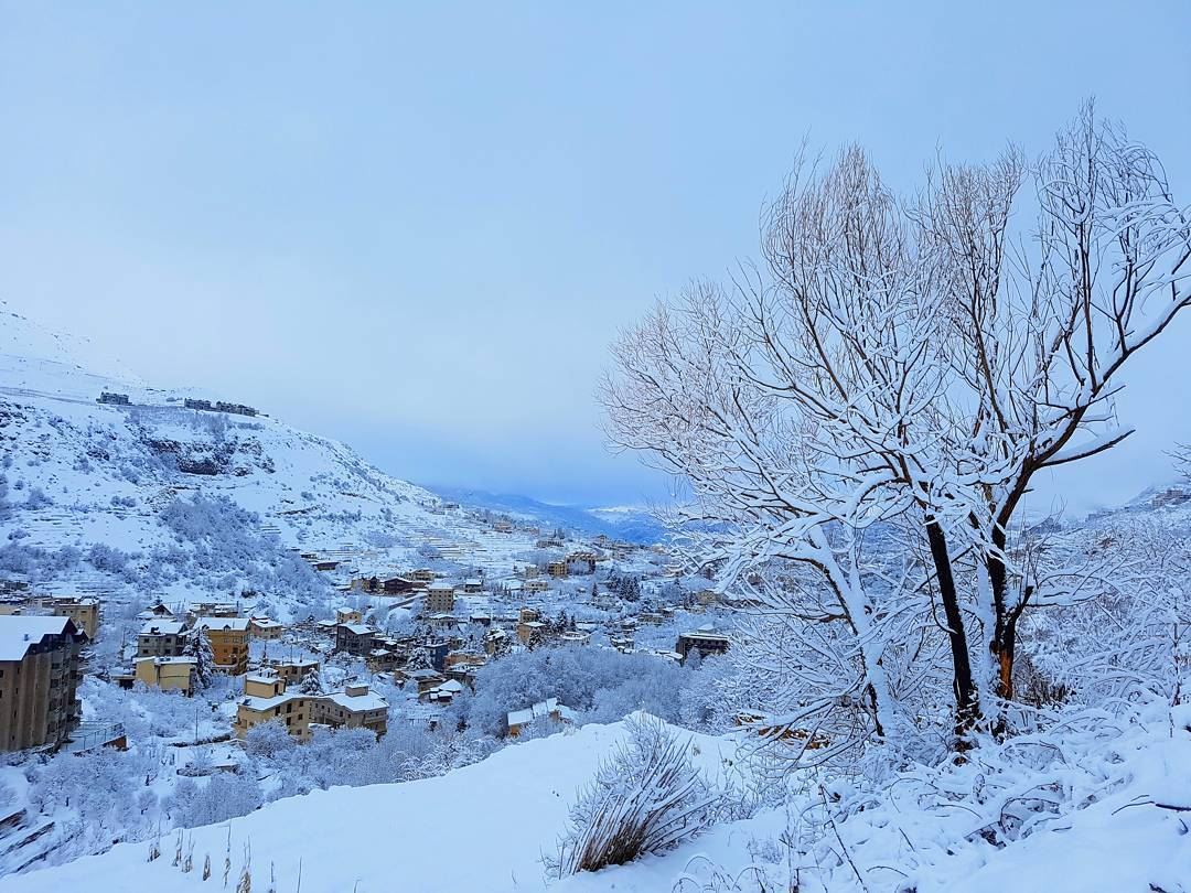 Faraya morning ❄❄ winterseason  faraya  snow  storm  freshsnow  morning ... (Faraya, Mont-Liban, Lebanon)