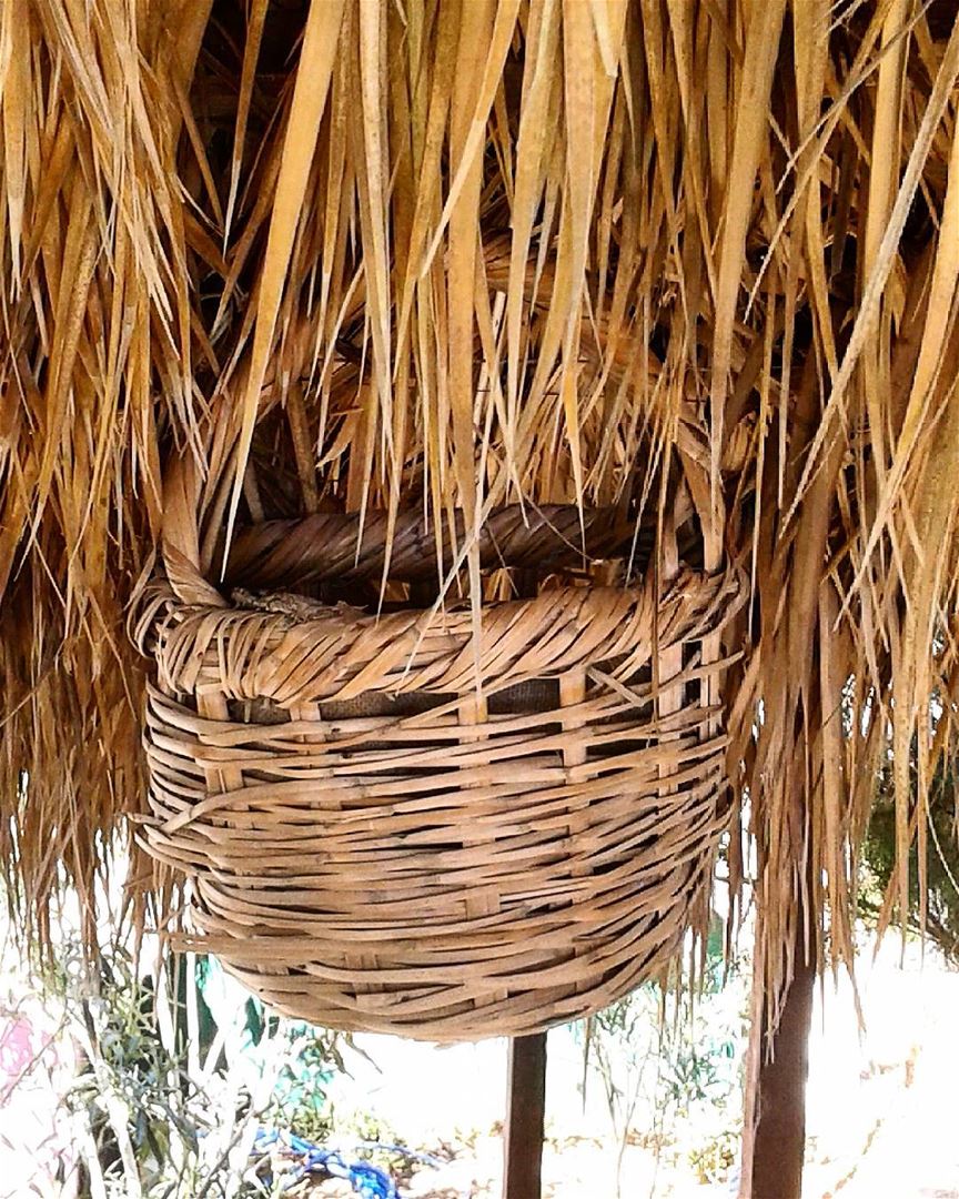 Fill the basket.... straw  basket  beach  nature  decoration  designs ...