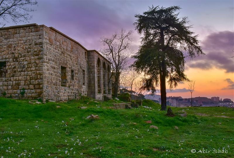 Fill your life with moments, not things.. Have stories to tell, not stuff... (Mount Lebanon Governorate)