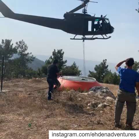  fire  firefighter  army  civildefense  lebanon  nature  forest ...